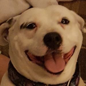 Meet your Posher, Robin